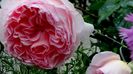 DSC02027