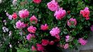 DSC02046