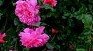 DSC02047