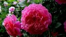 DSC02051