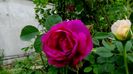 DSC02075