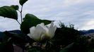 DSC02082
