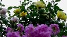 DSC02101