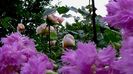 DSC02102
