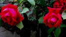 DSC02108