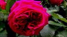DSC02120