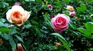 DSC02149
