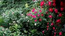 DSC02164