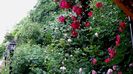 DSC02165