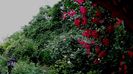 DSC02166