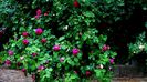DSC02172