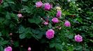DSC02199