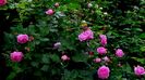 DSC02200