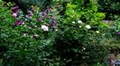DSC02205