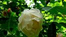 DSC02257