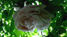 DSC02269