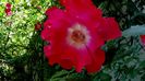 DSC02303