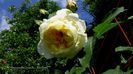 DSC02359