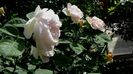 DSC02369