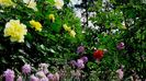 DSC02403