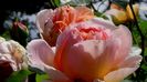 Abraham Darby