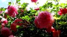 DSC02580
