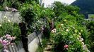 DSC02616