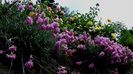 DSC02625