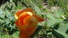 DSC02740