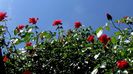 DSC02749