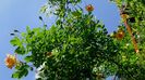 DSC02756