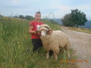 Picture 008
