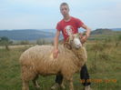 Picture 010