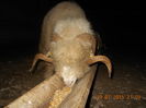Picture 026