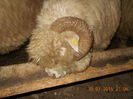 Picture 027