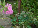 DSCN2889
