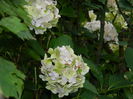 DSCN2890