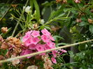 DSCN2935