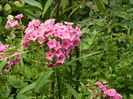 DSCN2939