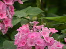 DSCN2941