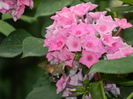 DSCN2942