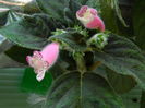 DSCN2963