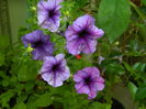 DSCN2964