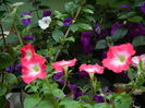 DSCN2977