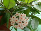 DSCN2982