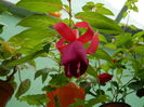 DSCN2984