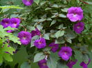 DSCN2986