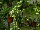 DSCN3002