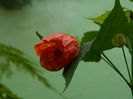 DSCN3011