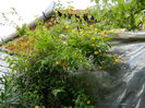 DSCN3022